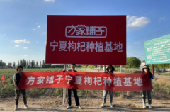 这也让消费者对通俗”的滋补食物心生疑